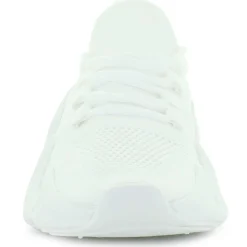 Air Sports World Mako