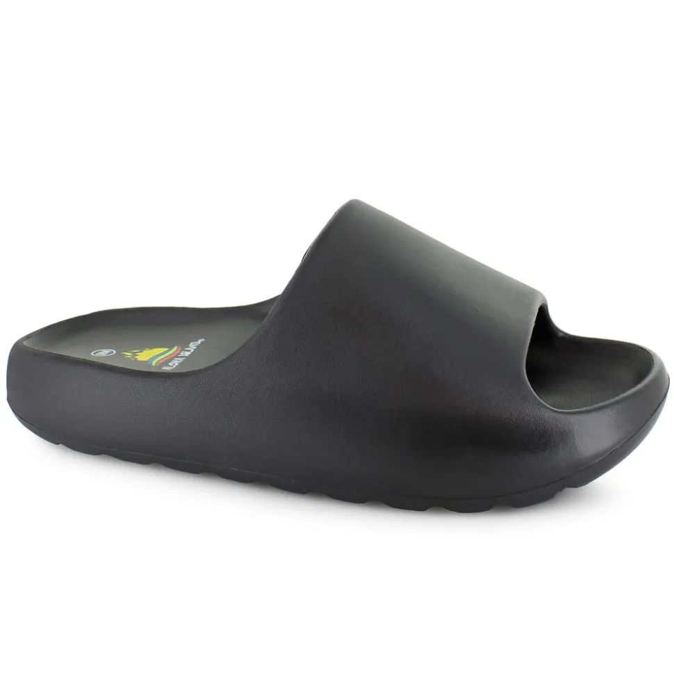 Aloha Island Slide