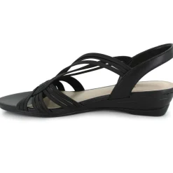 Impo Ruthie Stretch