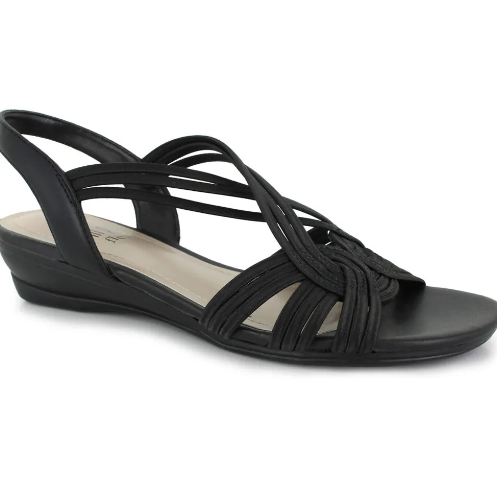 Impo Ruthie Stretch