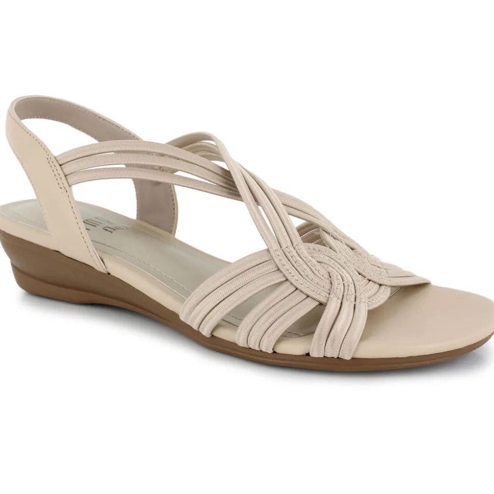 Impo Ruthie Stretch