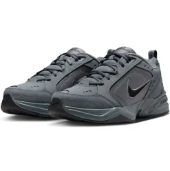 Nike Air Monarch IV