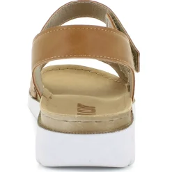 Oak Club CN250500