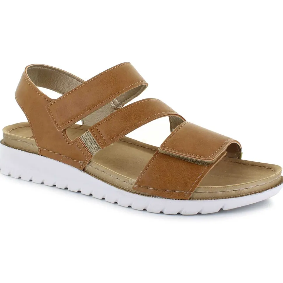 Oak Club CN250500