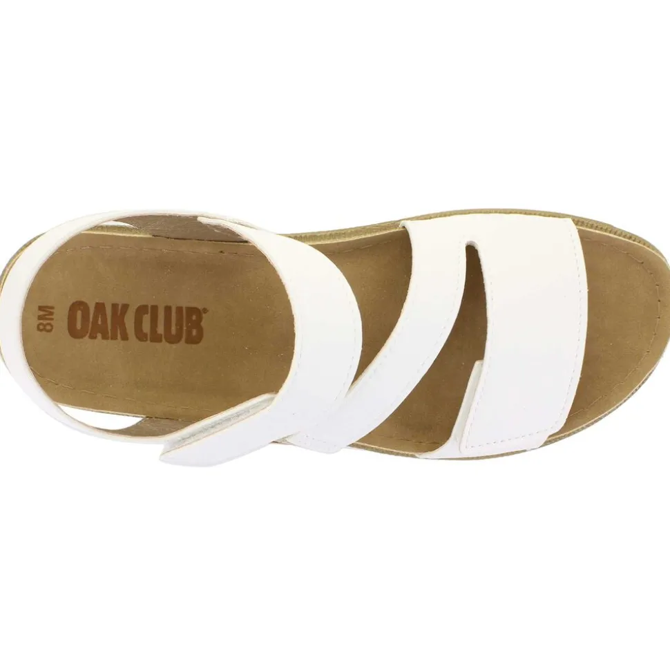 Oak Club CN250500