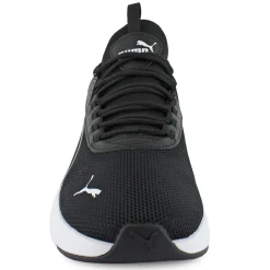 PUMA Amplifier