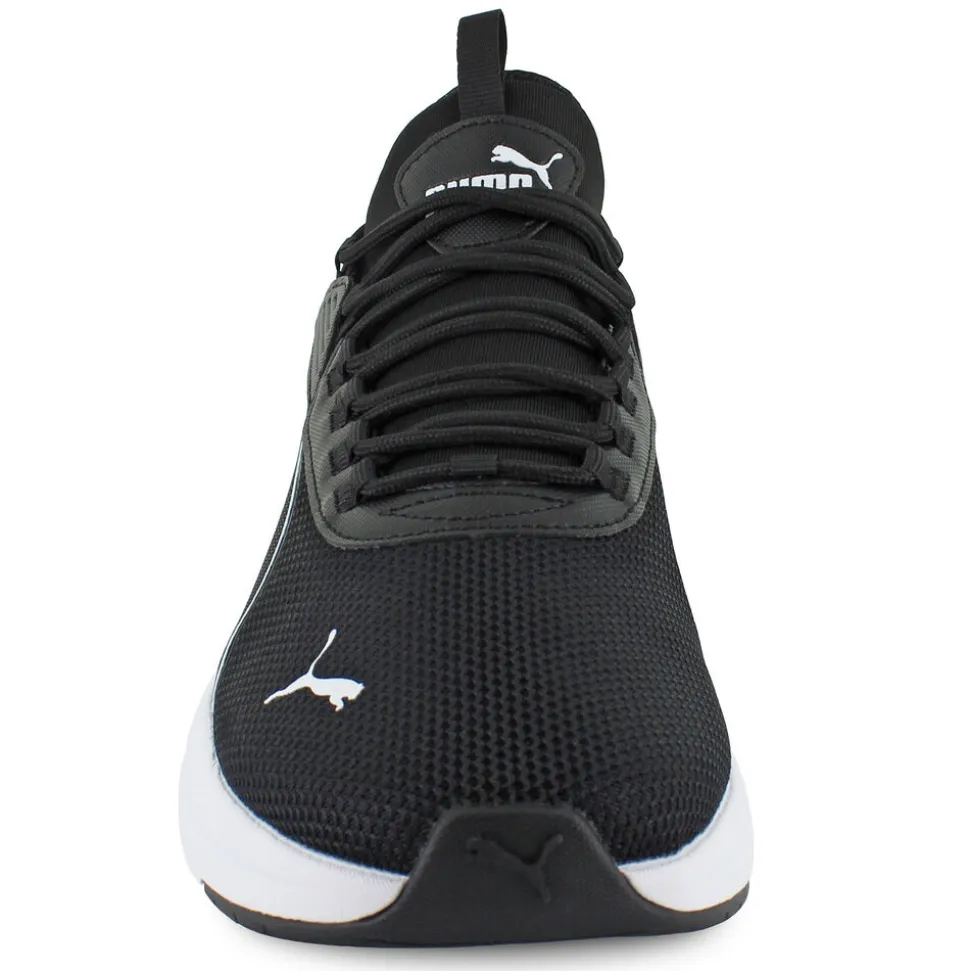 PUMA Amplifier