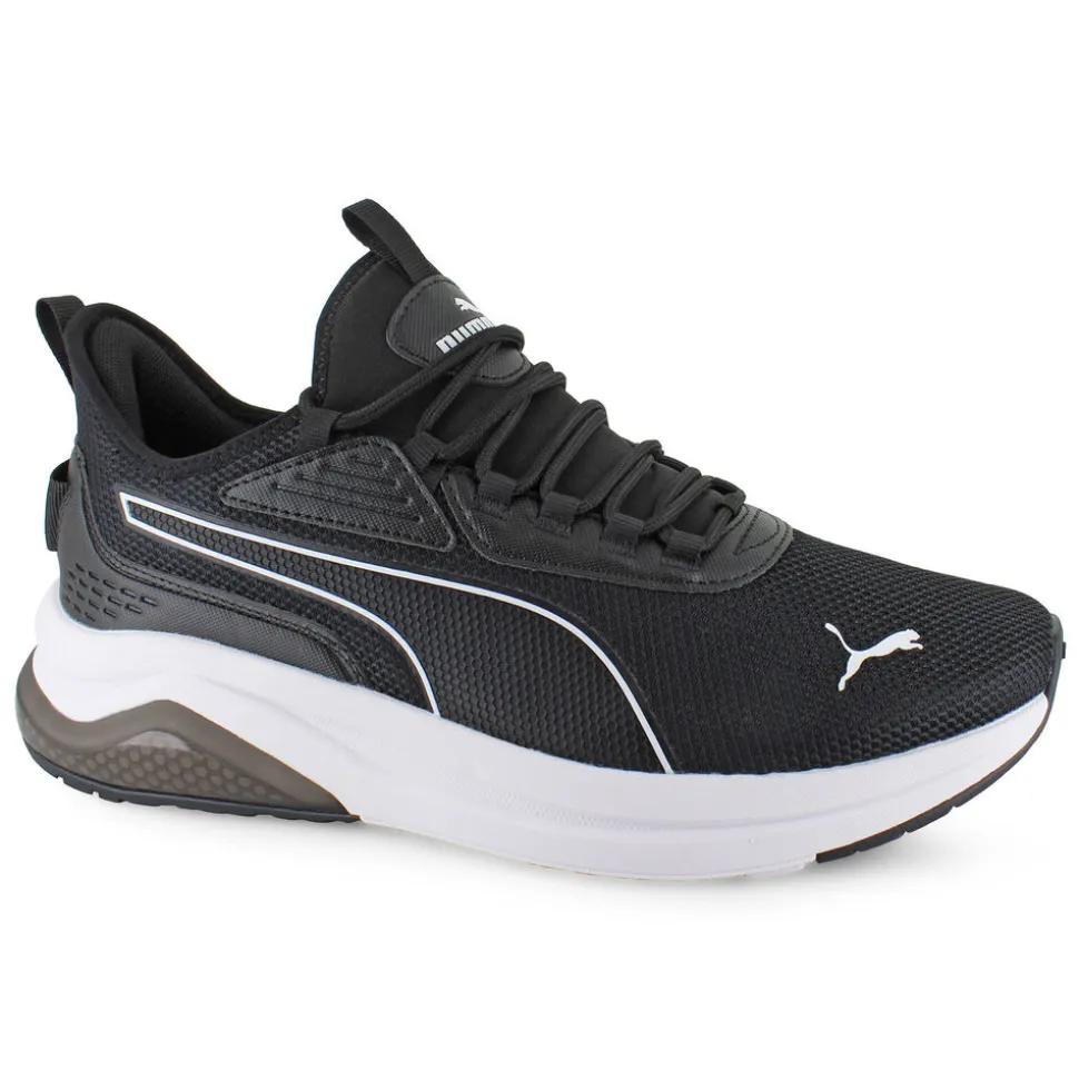 PUMA Amplifier