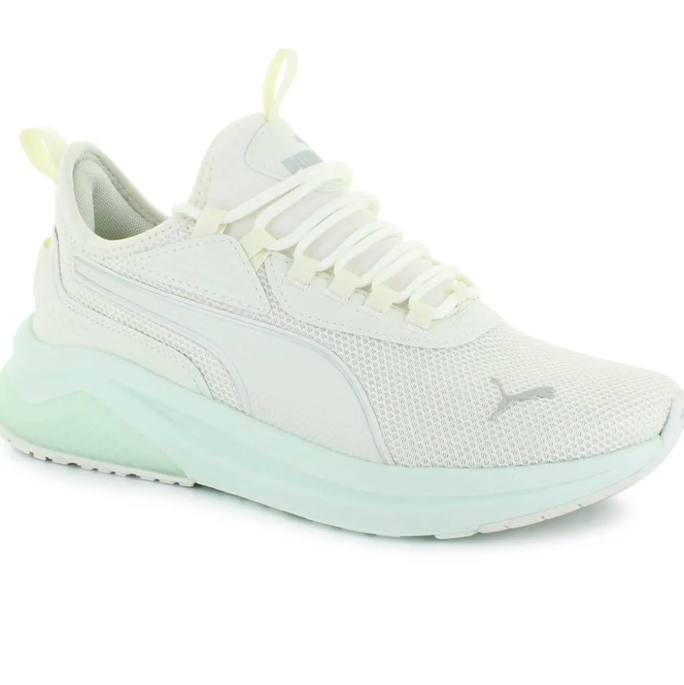 PUMA Amplifier
