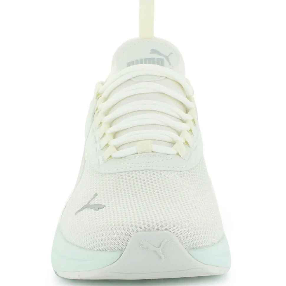 PUMA Amplifier